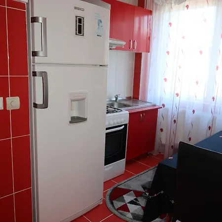 Centrul Vechi Apartment *