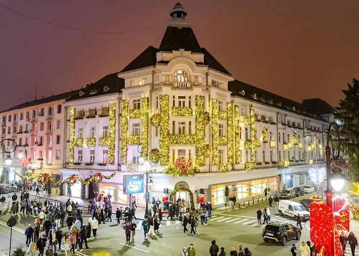 Apartment Centrul Vechi *